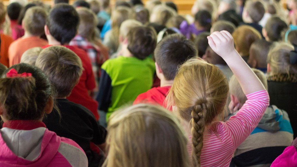 8. Student Raises Hand